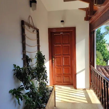 Palma Rosa Çamyuva