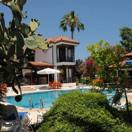 Palma Rosa Çamyuva