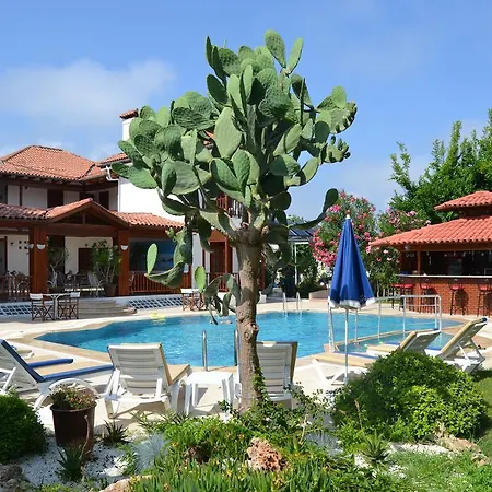 Palma Rosa Çamyuva