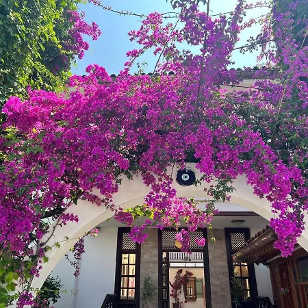 Oda ve Kahvaltı Palma Rosa Çamyuva