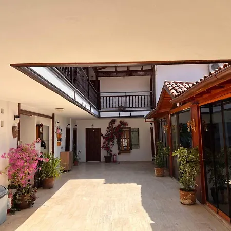 Palma Rosa Çamyuva